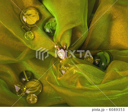 Beautiful golden tortoises on green background Beautiful golden tortoises on green background 6089353