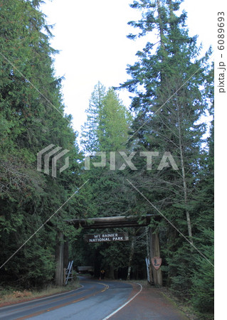 レーニア山国立公園 6089693