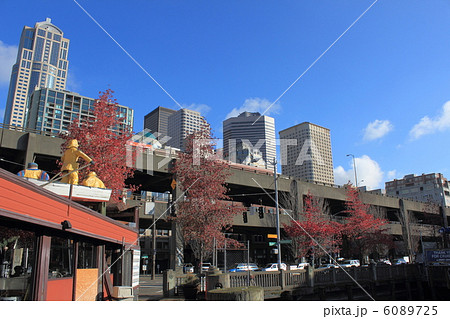 シアトルの秋 シアトルの秋 6089725