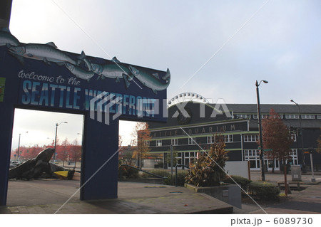 シアトルの秋 シアトルの秋 6089730
