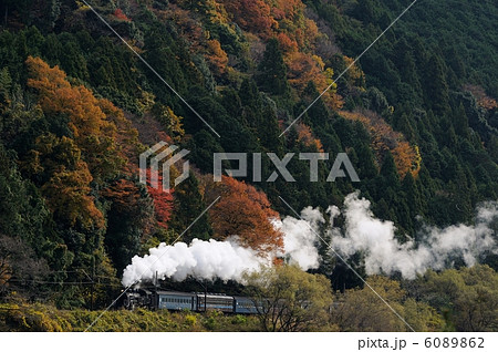 紅葉とＳＬ 6089862