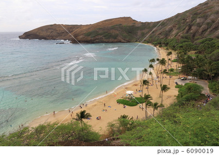 ハナウマ・ベイ 6090019