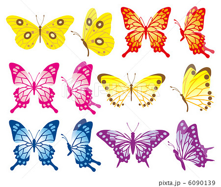 蝶セット 6種類のイラスト素材