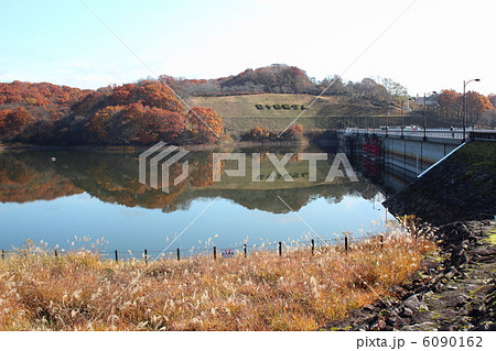 西側から見た１１月の四十四田ダム 6090162