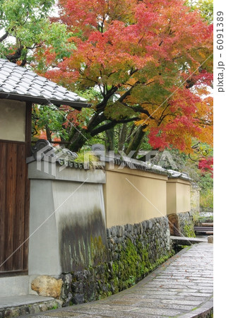 紅葉の上賀茂社家 6091389