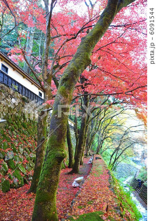 秋の横蔵寺 6091544