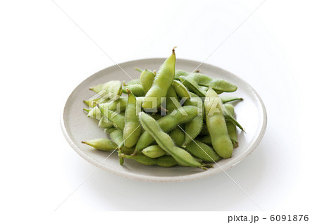 枝豆 6091876