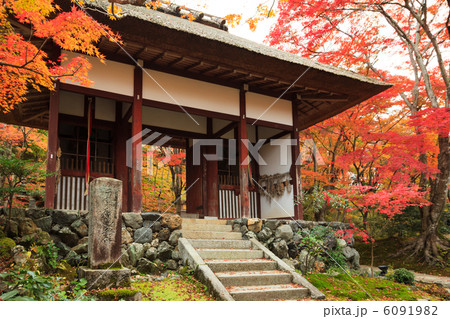 常寂光寺の紅葉 6091982