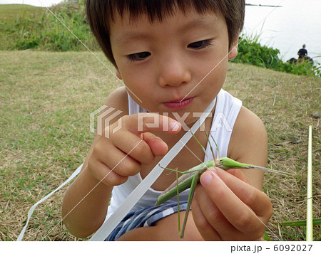 ショウリョウバッタ（精霊蝗虫）と子供 6092027
