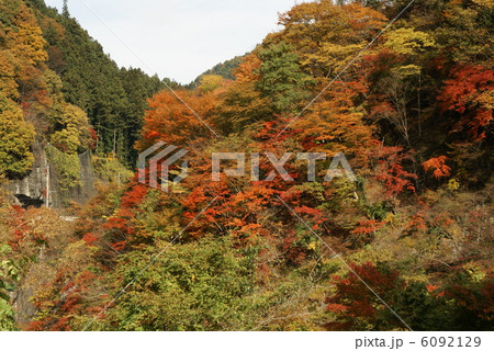 紅葉 「奥秩父・金蔵落しの渓流」 紅葉 「奥秩父・金蔵落しの渓流」 6092129