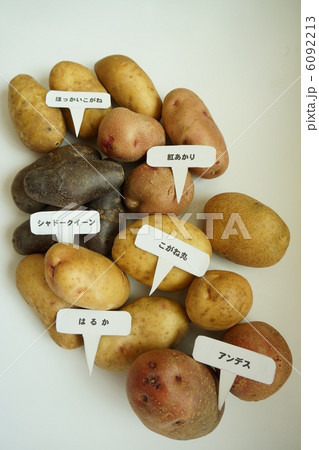 カラフルなジャガイモ 6092213