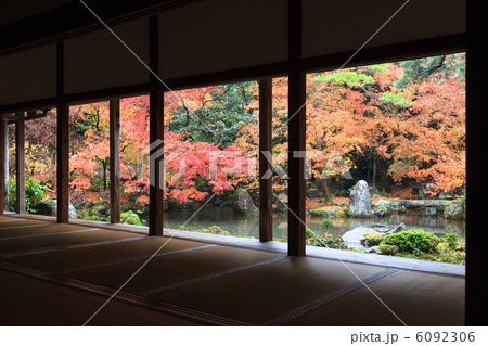 紅葉の蓮華寺 6092306