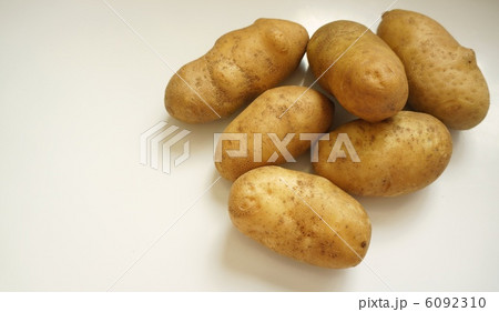 ほっかいこがね ほっかいこがね 6092310