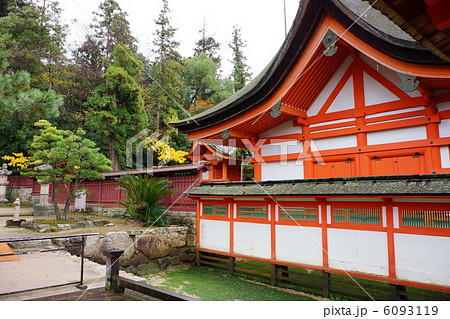 厳島神社 6093119