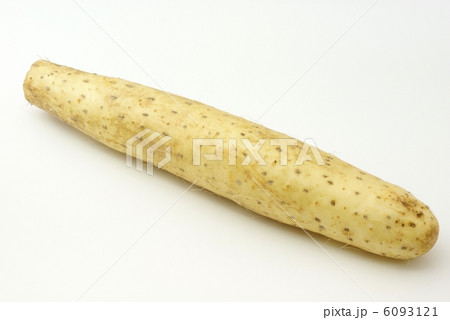 山芋 6093121