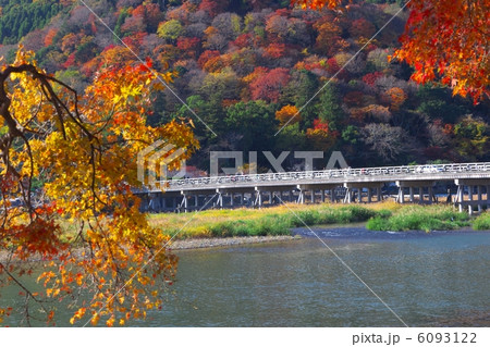 秋の嵐山 6093122