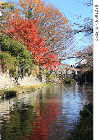 八幡掘りの紅葉 6093238