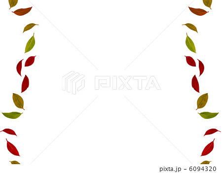 木の葉の流れ 木の葉の流れ 6094320