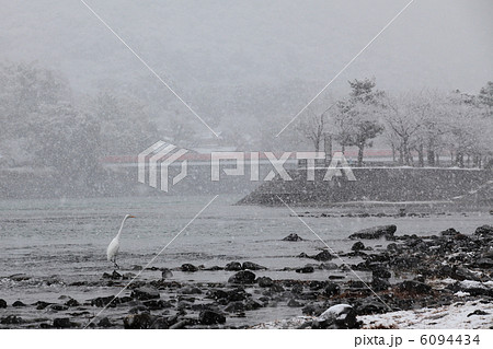 冬の宇治 冬の宇治 6094434