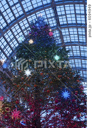 クリスマスツリー(ファクトリー アトリウム内) クリスマスツリー(ファクトリー アトリウム内) 6094949