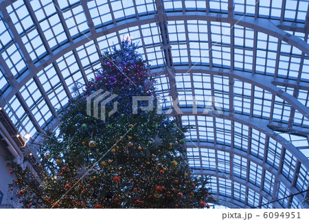クリスマスツリー（ファクトリー　アトリウム内） 6094951