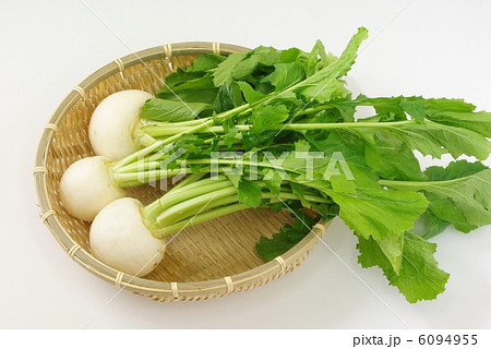 小かぶ 小かぶ 6094955