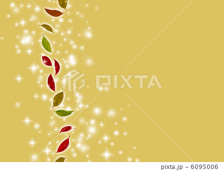 煌めく紅葉 6095006