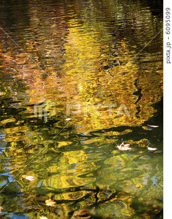 水面に写る紅葉 6095099