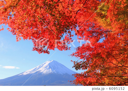 日本一の紅葉 6095152