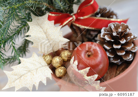 クリスマス用に飾り付けたコニファー ブルースター の写真素材