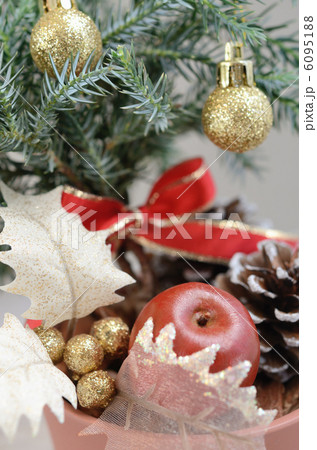 クリスマス用に飾り付けたコニファー（ブルースター） 6095188