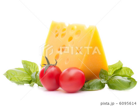 Cheese and basil leaves still life 6095614