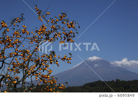 富士山と柿 6095849