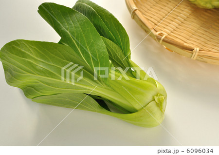 チンゲン菜 6096034