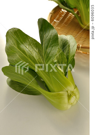 チンゲン菜 6096035