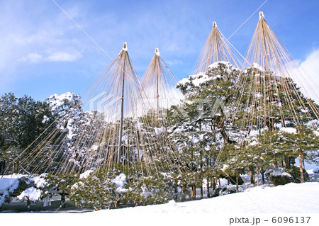 兼六園の雪吊り 6096137