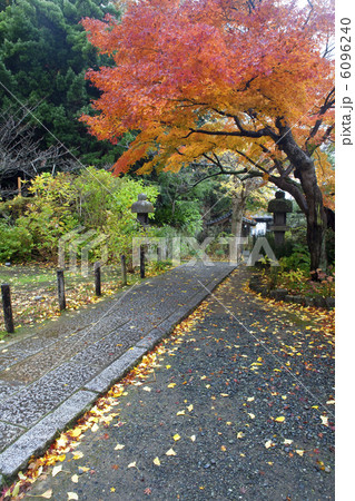 安国論寺の紅葉 6096240