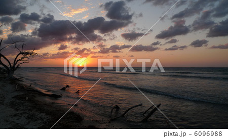 コスメルの夕日 6096988