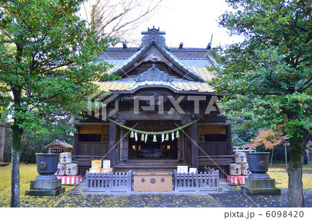 玉敷神社　本殿（拝殿）－騎西にて 6098420