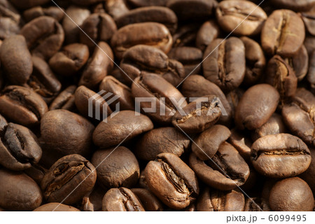 コーヒー豆 6099495