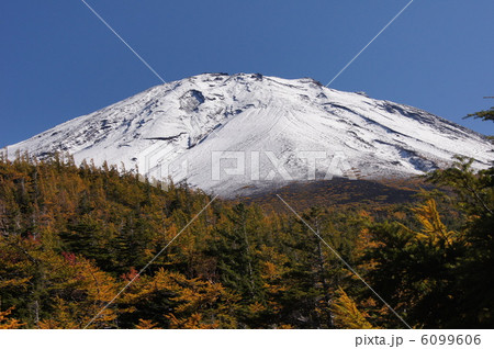 初冬 富士山 黄葉 初冬 富士山 黄葉 6099606