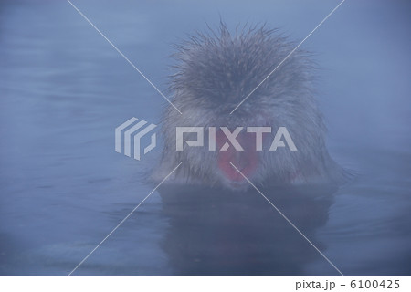 いい湯だな いい湯だな 6100425