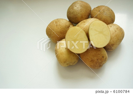 こがねまる 6100784