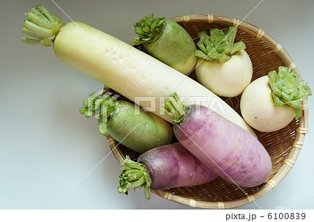 大根いろいろ 大根いろいろ 6100839
