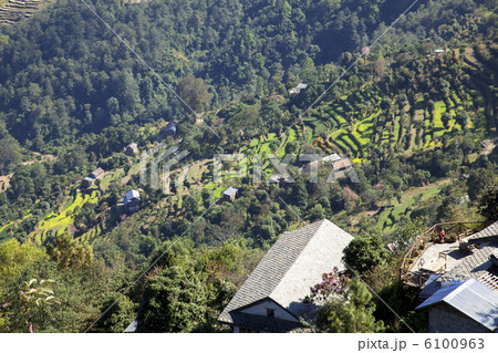 ナガルコット谷の段々畑　 6100963