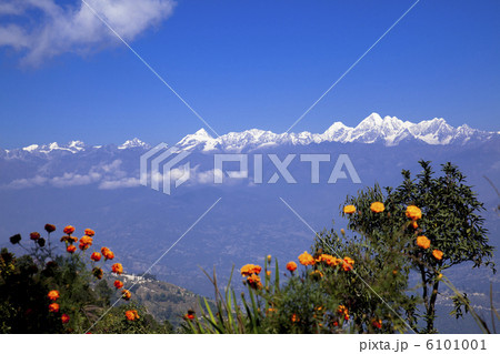 ナガルコットよりヒマラヤ連峰 ナガルコットよりヒマラヤ連峰 6101001