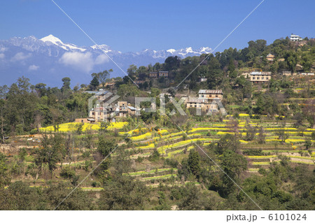 ナガルコット村とヒマラヤ連峰 6101024