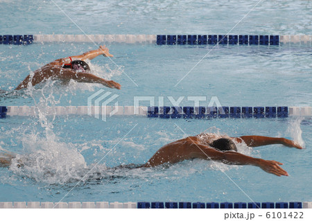 バタフライ バタフライ 6101422