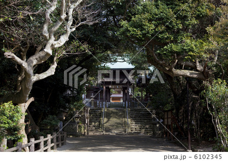志賀海神社参道より楼門 志賀海神社参道より楼門 6102345