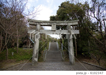 志賀海神社鳥居 6102347